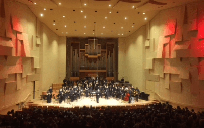 Gastprofessor universiteit van Stellenbosch